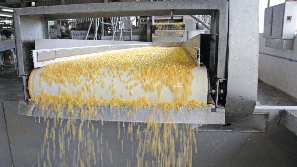 Industrial food equipment efficiently processes yellow corn kernels on a conveyor belt in this setting.