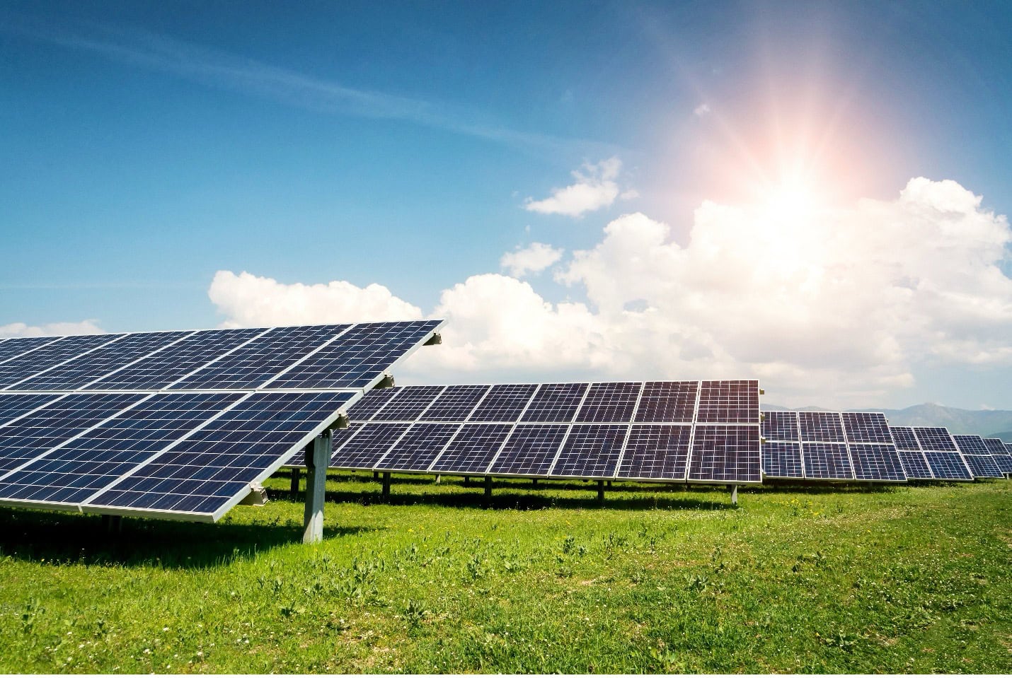 Rows of solar panels on a grassy field under a bright sun and blue sky.